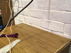 -鼓浪屿钢琴博物馆