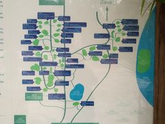 -三亚珠江南田温泉度假区