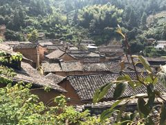 -杨家堂村
