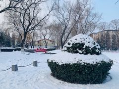 -玲珑塔公园