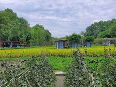 -洪湖家庭农场·团建·露营·会议