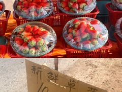 -白鹿原·白鹿仓