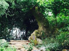 -南通洲际绿博园