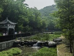 -白水寺森林公园