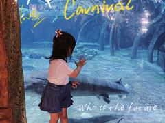 -华夏文旅海洋公园