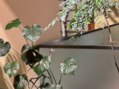 -翔峰炭火鳗鱼(悦泰街里公寓店)