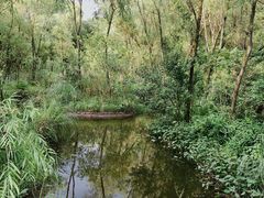-西湖风景区-江洋畈生态公园