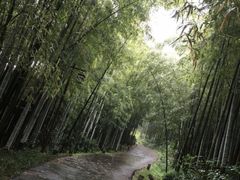 -苏州环秀晓筑养生度假村