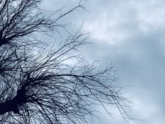 -南通洲际绿博园