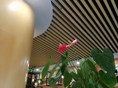 大堂-小苏舍餐厅(木渎店)