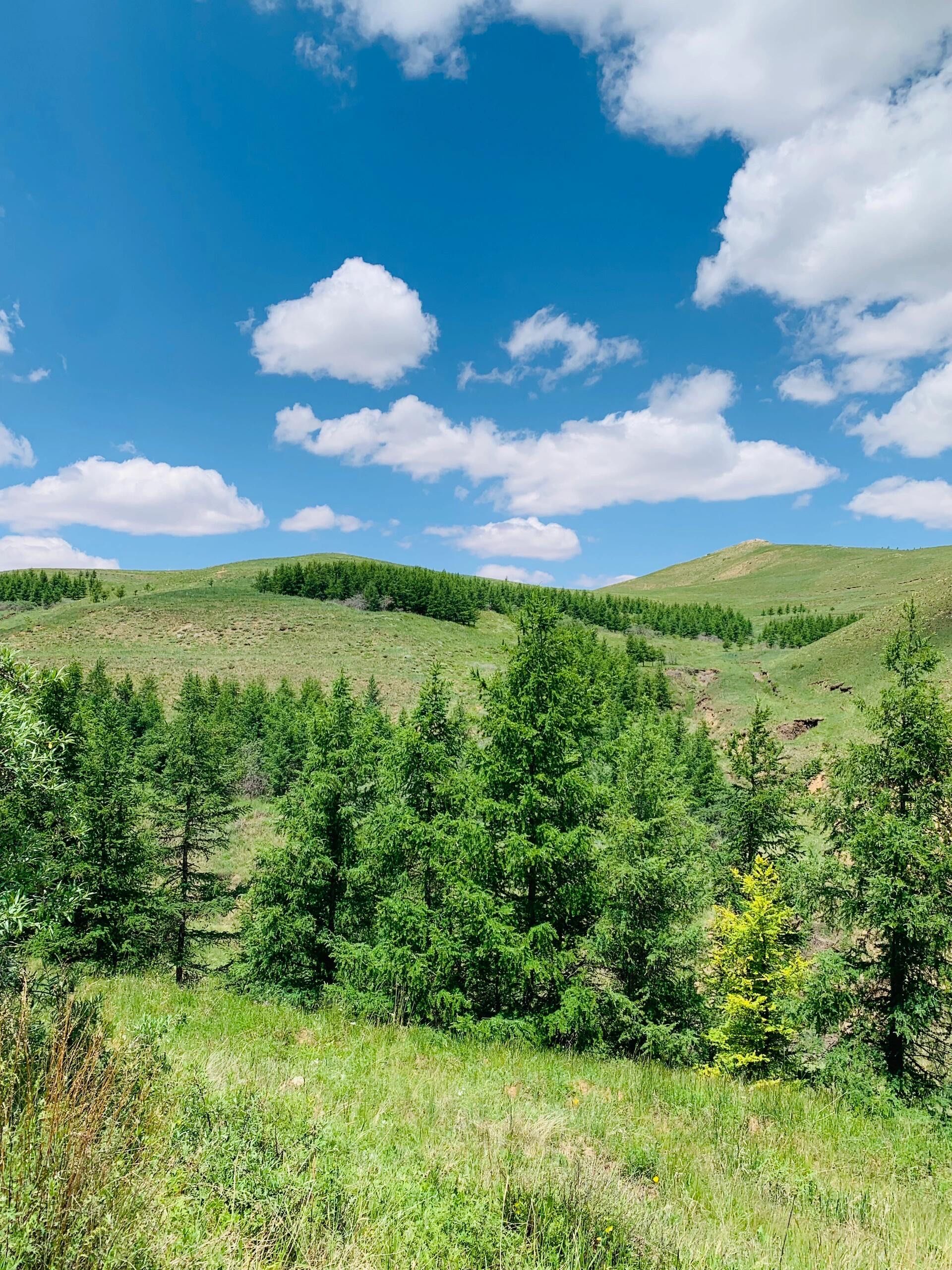 呼和浩特,今天敕勒川高山草原好美
