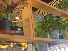 -粤点越有·茶点·粤菜(樵岭国际店)