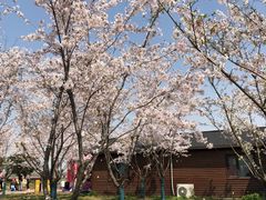 -幕燕滨江·燕子矶公园