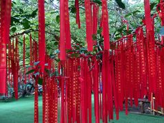 -呀路古热带植物园