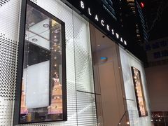 -BLACKSWAN黑天鹅(环球店)