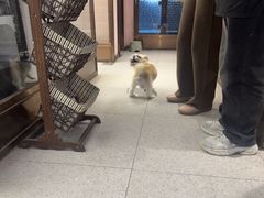 -FAELING PETS美天灵宠物(富力广场店)