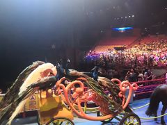 -广州长隆国际大马戏