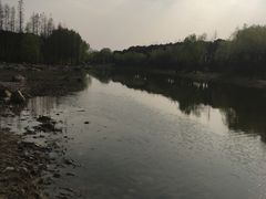 -新江湾城公园