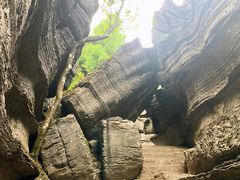 -梭布垭石林景区