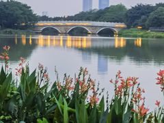 -海珠湖公园