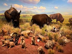 -陕西自然博物馆