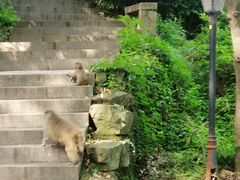 -苏州上方山国家森林公园