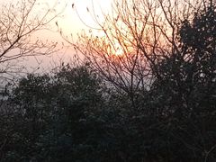 -大蜀山国家森林公园