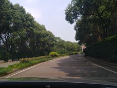 -平湖九龙山旅游度假区