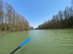 -上海海湾国家森林公园