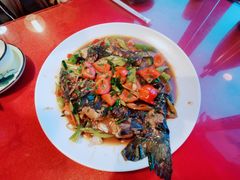 -生态苑农庄(十里画廊遇龙河店)