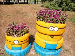 -羊亭河湿地公园