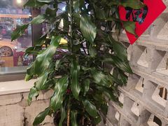 -破瓦寒窑·地摊烤羊排