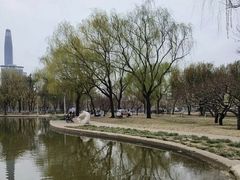 -泰丰公园