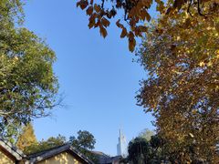 -颐和路民国时期公馆风貌区