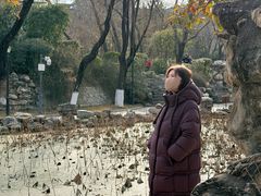-莲湖公园