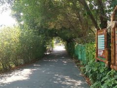 -华侨城湿地公园