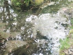 -富田农场