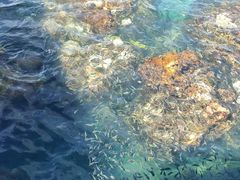 -三亚西岛海洋文化旅游区