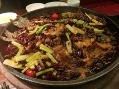 -老板恋上鱼(荣盛广场店)