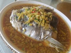 -庐州太太(信地店)