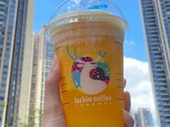 闪光橙橙瑞纳冰-瑞幸咖啡(新浩e都店)