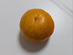 -上海大学(宝山校区)