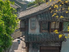 -乌镇景区