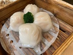 -东莞美怡登酒店(常平南站店)