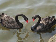 -长春市南湖公园