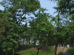 -元大都城垣遗址公园