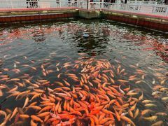 -长春市南湖公园