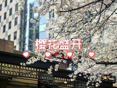 -玛格萝妮比萨屋(四平店)