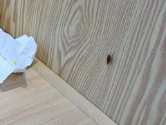 -米村拌饭(欧亚万豪店)