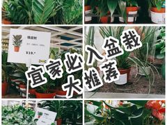 -IKEA宜家家居(南京商场)